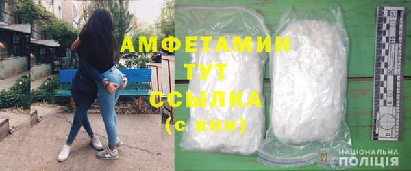 шишки Братск