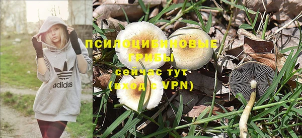 метадон Костерёво