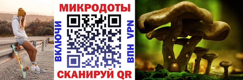 купить   Светлогорск  Галлюциногенные грибы Magic Shrooms 